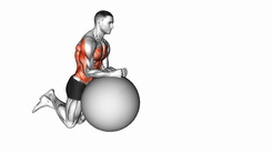 Stability Ball Rollout on Knees